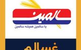 غسالم : عملکرد شرکت  سالمین
