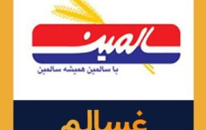 غسالم : عملکرد شرکت  سالمین